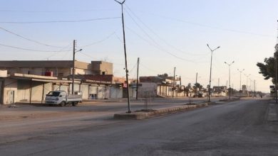 07D66EF3 10C5 4D99 8D2D 1336AA2C3438