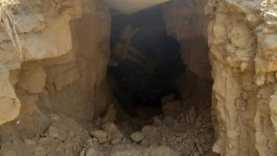 07E95C57 07BB 454E A41B 7B73519A8206