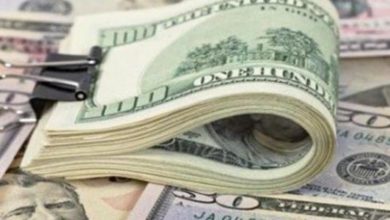 09A3E25D 95F8 435C 968D CFD380EBDF3A