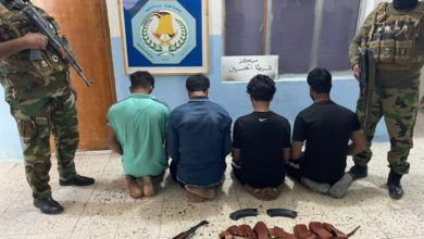 0BCA9BC7 E857 48C5 B8AC 395E51C2E7B3