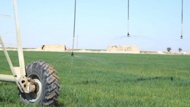 0C144281 5A08 45AC BC0C 6C6A4B746DDF