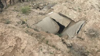 131232021 d70638c7 9a15 4156 9c0b 81a4b80c6110