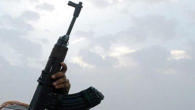 13C038DC 8CC7 488A 8BCF 51FC0130D3D3