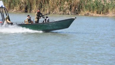 141832021 749afff3 1b6b 45ad 86db 851ee4b25a9f