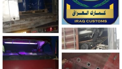 161732021 ea19b849 f661 491f 9487 e961ccb95fdb