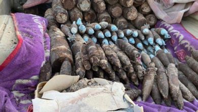 171332021 857ffd0d bc59 425d 9d85 72007af005f2