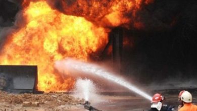 1CCB6E98 94B1 4BD9 AD35 B5172F9234CF