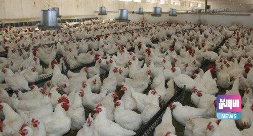 1F3A02C3 F628 4EA8 A3E9 A173ECF244D2