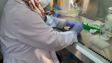 260E55EA BDD2 4F85 895F 010A50A8891D