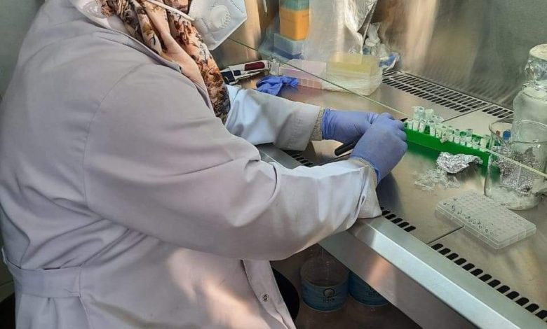 هيأة البحث تنجز فحـص سريع للكشف عن إصابات أسماك الكارب بفيـروس الهيربس (Klo) 1 260E55EA BDD2 4F85 895F 010A50A8891D