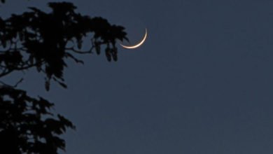 27AA6734 C201 4BB0 A75A 00C781C82DFA