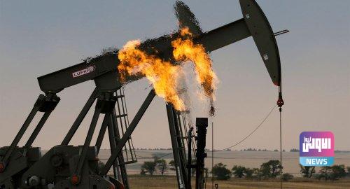 2955BABF CF5E 4E28 ABCC AA12A8D40989