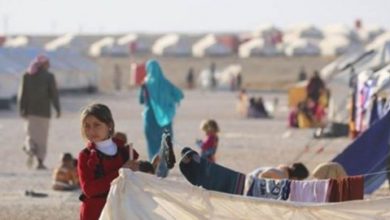 31C6BF8C 6623 4F64 BD91 64A2F1D9A4FC