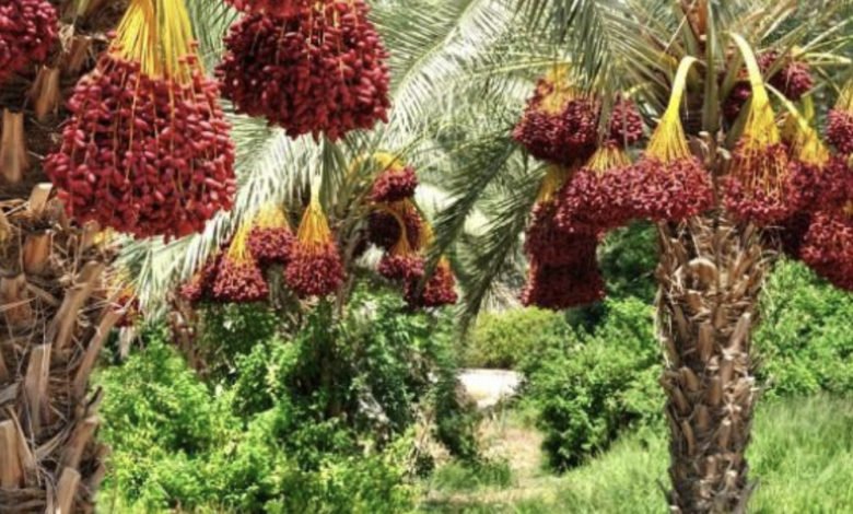 3805BB25 FC3C 4524 AD3A 48A39C0EA75B