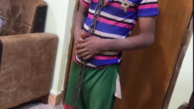 3822A5B4 315D 4972 82A2 648ABBB01EC2