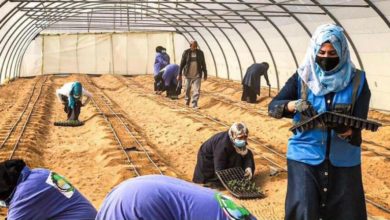 3C5DA3CB 9C84 4EA1 BE99 3FE2EE66ADDF