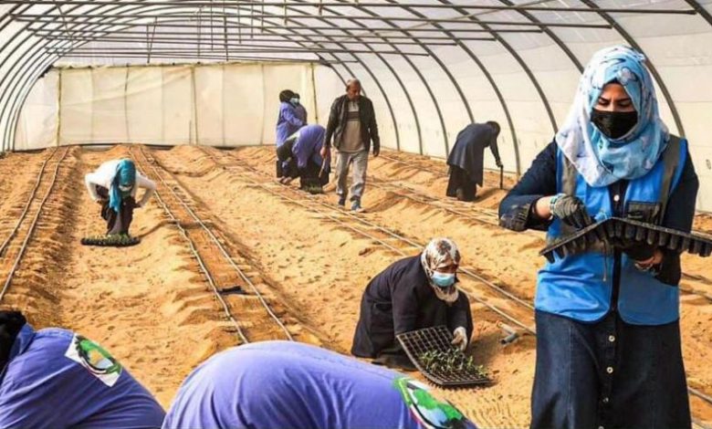 3C5DA3CB 9C84 4EA1 BE99 3FE2EE66ADDF