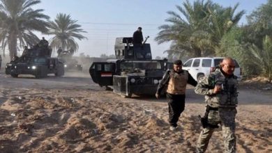 420197213552836413023 780x405 1