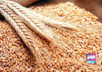 4358E6F7 643A 4511 9856 B460D86DEE6C