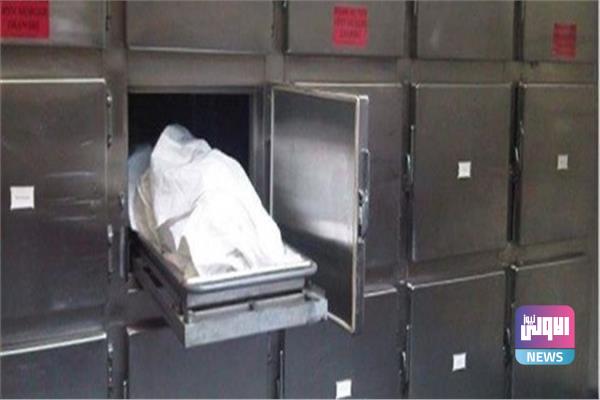 49A3372D 589E 4B6A 9994 AE782F41592B