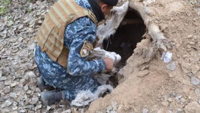 4FBD3E4C 06DC 4255 BA6A 7644B4A3D2DB