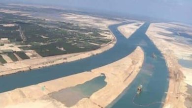 503A8A2D 7C23 4E1D B09A 5C429D66997B