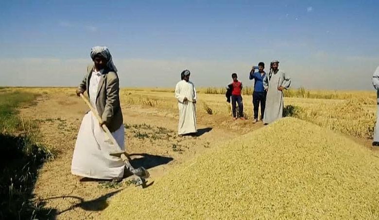 56492937 38EC 4E96 9C83 41B0022E499E