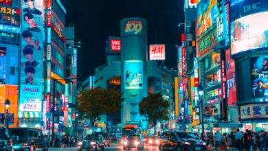 56A9069F 506D 4967 A63C A0741F942223