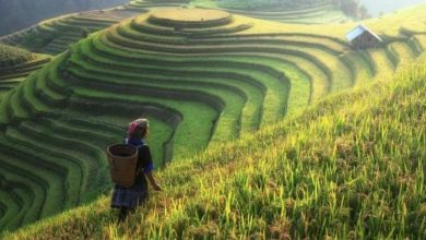 596FBE1A 3600 4B4D 8CBA 900B444784E7