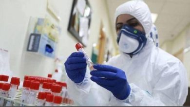 5A1365B6 A2D2 444E A4DB A3ECBEE47331