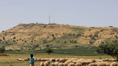 603f3c434c59b738580194cf