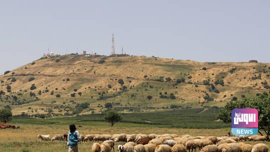 603f3c434c59b738580194cf