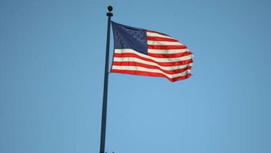 6040641442360432025d0b4b