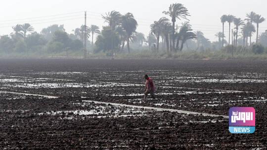 604205144c59b71ad80d19f4