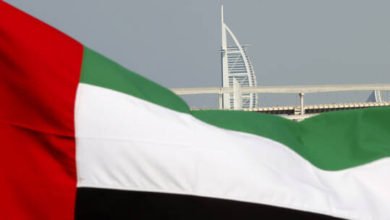 6044968a4236046d7755a7d7