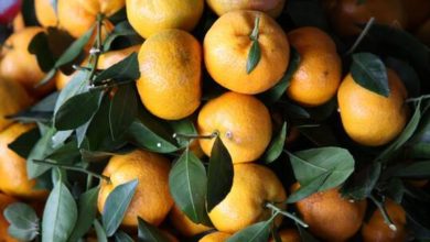 604a0b7b4c59b760f002434b