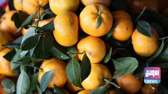 604a0b7b4c59b760f002434b