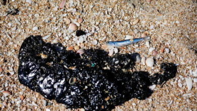 604f2da24c59b728ac14b299