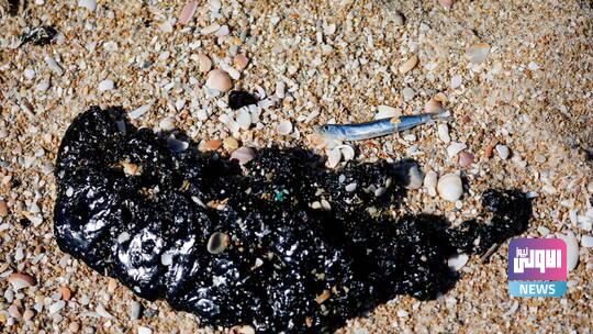 604f2da24c59b728ac14b299