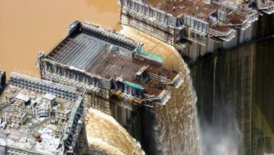 6053459b4236046cda2f2767