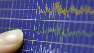 6055bf1442360431ec198f0c