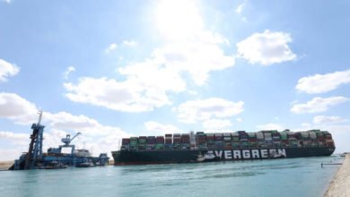 606035904c59b717f8368e50