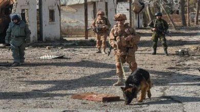 6061b85442360409d55ed3d0