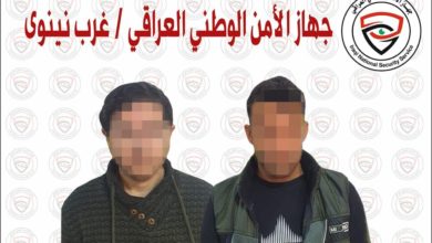 645829EA 112D 4E2C B372 CE7738C1811D