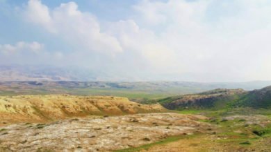 7114C2D6 9CDD 441B AEFD 92E966582678