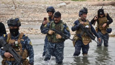 7841CB2F D064 40A8 B635 E160538F6A01