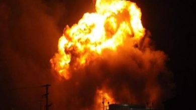 7CC8A54B 22EB 487D A037 77F533E1F0DA