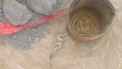 7CFF134F 6E0E 452D 8272 9878B579FD9B