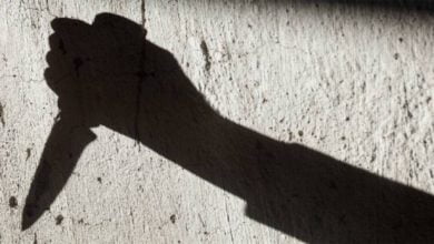 8008F297 7FC4 428B A660 832FE27539B4