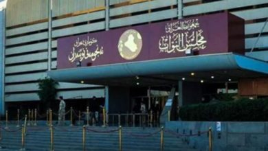 826B0206 287D 46DD 8F22 FA78040FB614